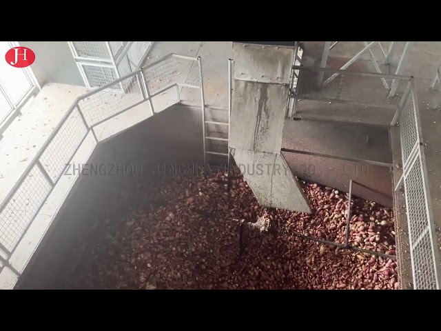 China SS Cleaning Sweet Potato Starch Making Machine 25t/H 18.5kw for sale