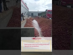 Sweet potato starch processing production line put into production