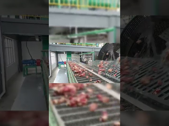 China Stainless Steel Cassava Starch Making Machine Paddle Cleaning Machine for sale