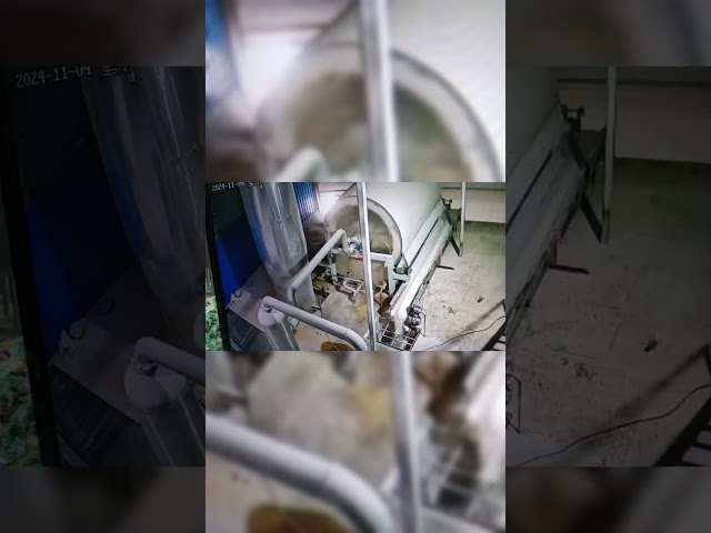 China 30Kw Sweet Potato Cleaning Washing Making Equipment Rotary Washer for sale