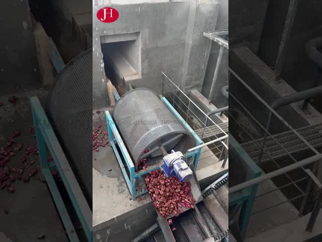 China PLC Control Sweet Potato Starch Processor Providing Cleaning Milling Packing Processing Type for Industrial Applications for sale