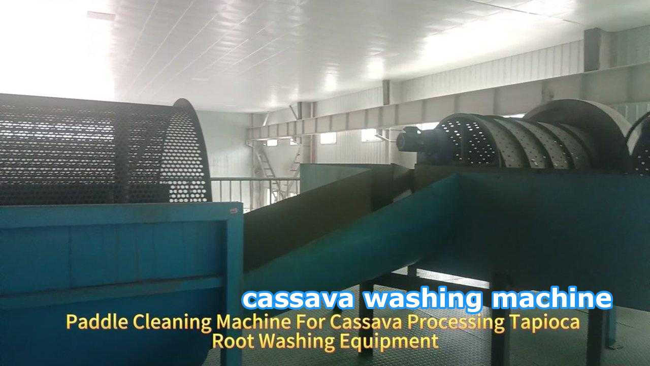 China Large Capacity Fufu Processing Machine Cassava Paddle Cleaning Machine for sale