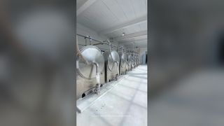 Sweet Potato Starch Production Line Centrifugal Sieve Equipment